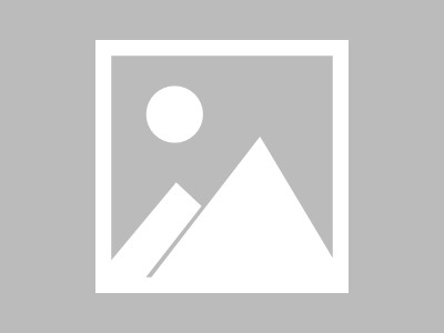 新新商贸服务公司，智慧与创新的完美融合